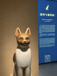 Walking With Pharaohs: A Budget Cultural Journey at Shanghai Museum