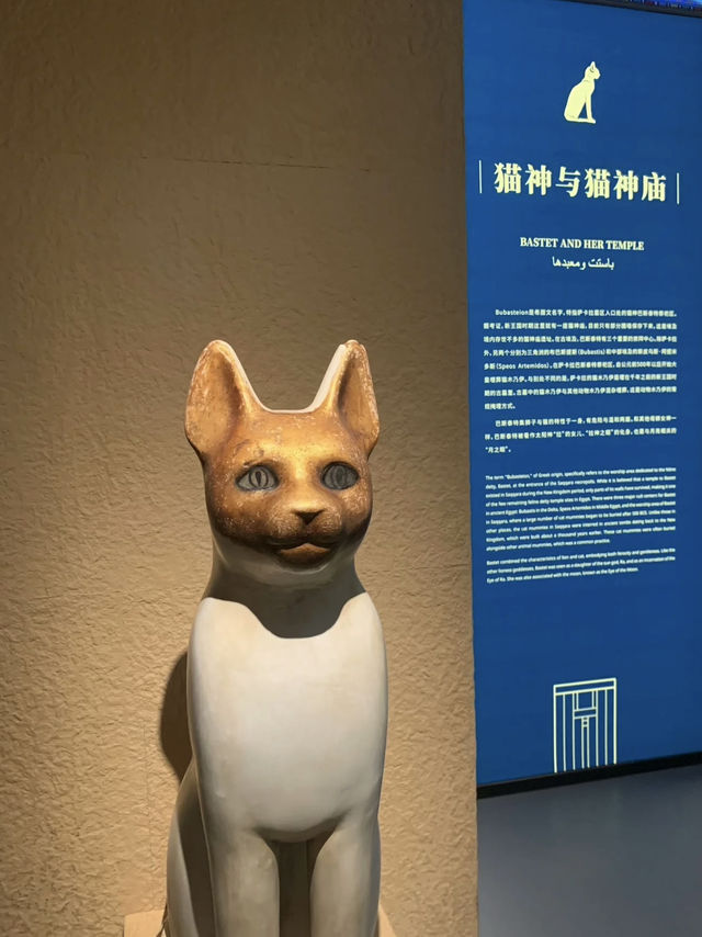 Walking With Pharaohs: A Budget Cultural Journey at Shanghai Museum