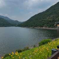 Exploring Gumi: A Chill Day in Korea’s Underrated City