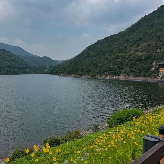 Exploring Gumi: A Chill Day in Korea’s Underrated City