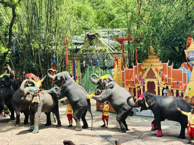 Don’t miss this in Bangkok: A day of thrills and unforgettable shows! 