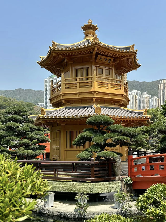 A Tranquil and Budget-Friendly Oasis – Nan Lian Garden, Hong Kong