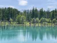 富良野：遇見最美的清池與花海