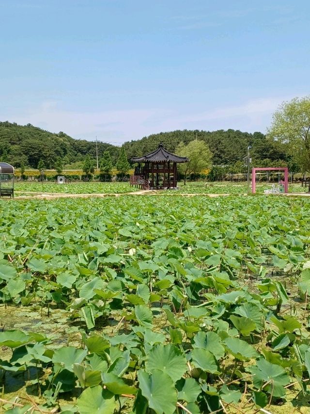 초록과 분홍이 어우러지는 힐링여행 🌸🌿