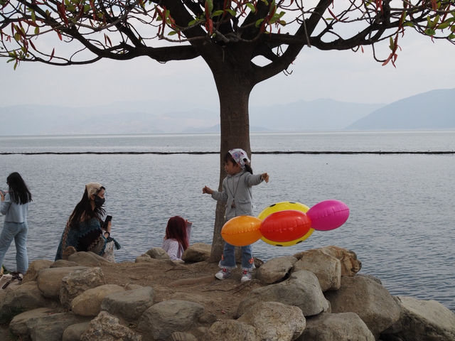 🌊✨ Erhai Lake – A Must-Visit Gem in Dali, Yunnan! ✨🌊