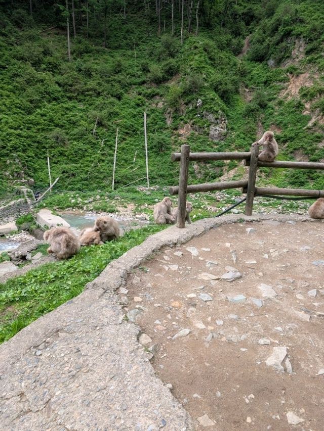 地獄谷