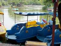 【中国・昆明 翠湖公園】緑と水に癒される昆明の「翠湖公園」