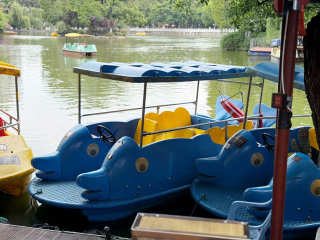 【中国・昆明 翠湖公園】緑と水に癒される昆明の「翠湖公園」
