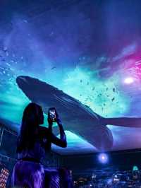 EXPERIENCE LIFE BENEATH THE WAVES IN THIS YEAR’S I LIGHT FESTIVAL! 💡🌊