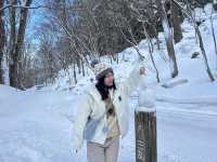 《❄️☃️ 雪之華》走進雪地童話—奧入瀨溪流❄️ #雪地 #冰雪世界