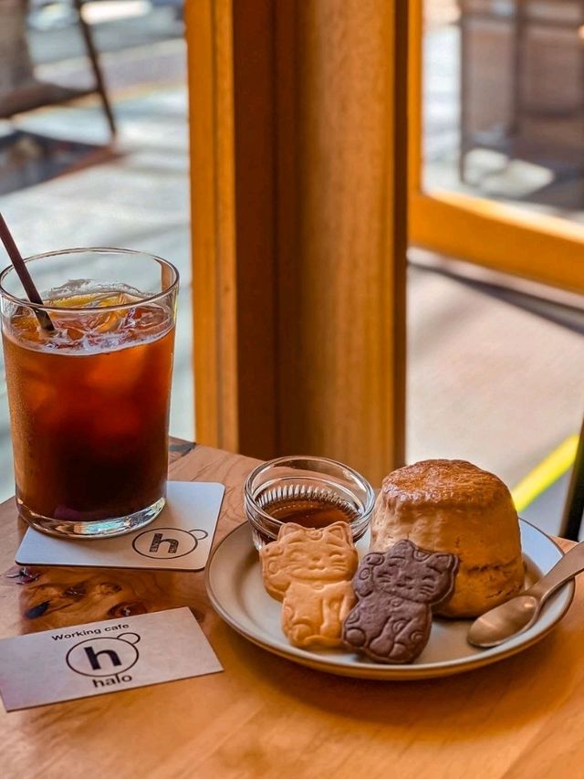 Working Cafe Halo Tokyo