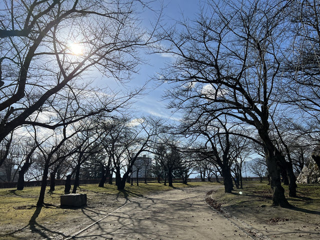 🏞️ Strolling Through History – Morioka Castle Site Park (Iwate Park)