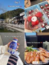 Places to visit in Japan 🇯🇵budget 25K bath