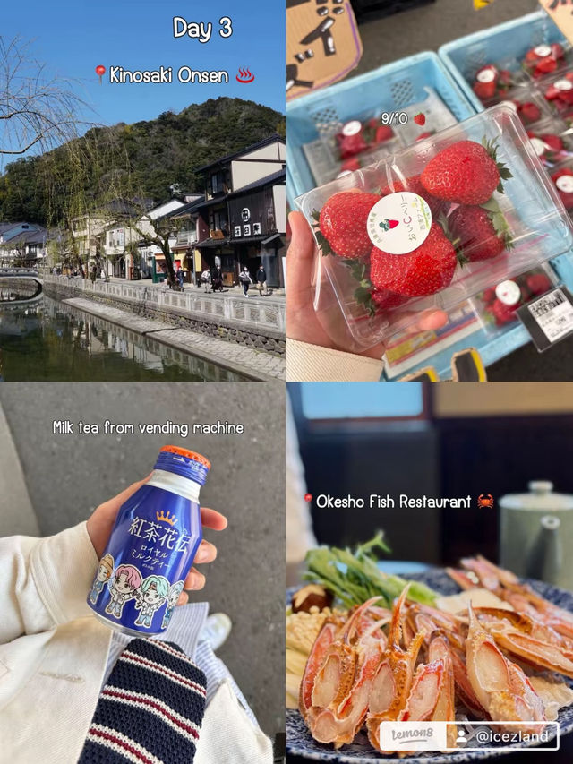Places to visit in Japan 🇯🇵budget 25K bath