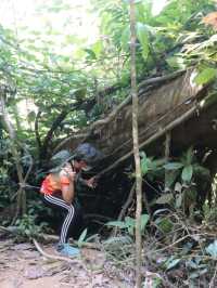 อุทยานแห่งชาติคลองพนม จ. สุราษฎร์ธานี 