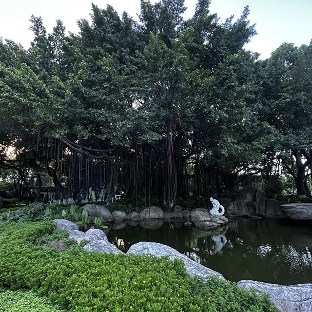 🏞️ "Zhangshan Park: Xiamen’s Green Oasis of History & Relaxation!