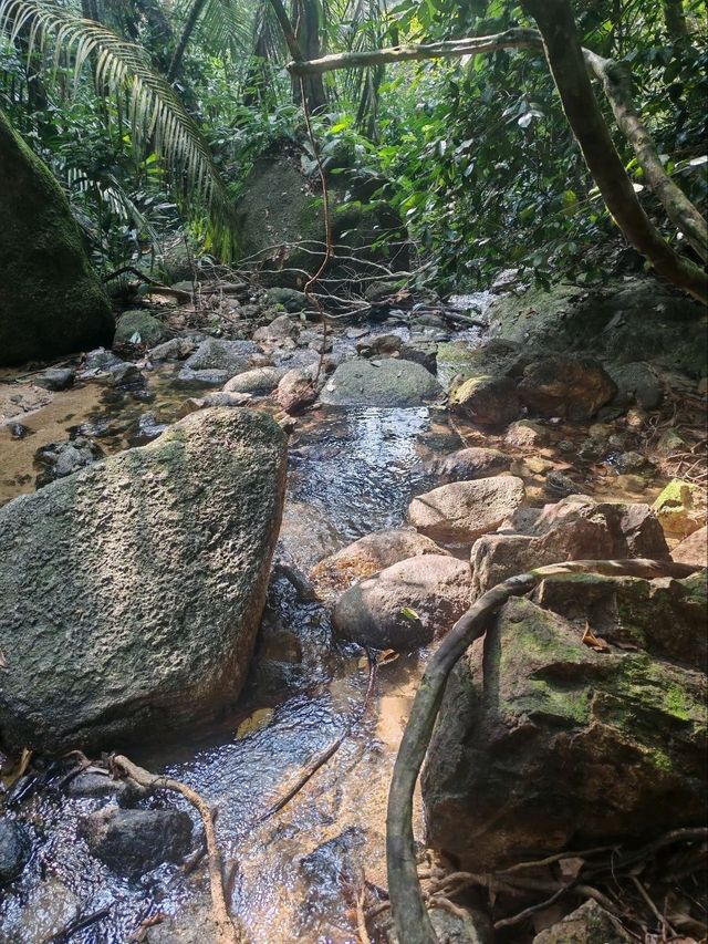 ⛰️ Conquer Nature at Kledang Hill Trail Head, Ipoh! 🌿