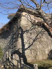 北海道-函館五稜郭跡（晚上來更漂亮）