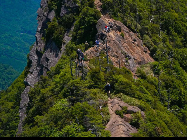 【石鎚山】西日本最高峰で感じる大自然のパワーと達成感💪🌲
