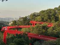 My Weekend Escape: Soaking Up Nature at Hongqiao Park! 🌳☀️