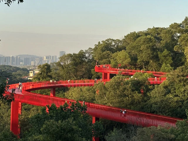 My Weekend Escape: Soaking Up Nature at Hongqiao Park! 🌳☀️