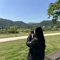 🌸 울산 태화강국가정원, 꽃길 따라 자전거 타는 하루