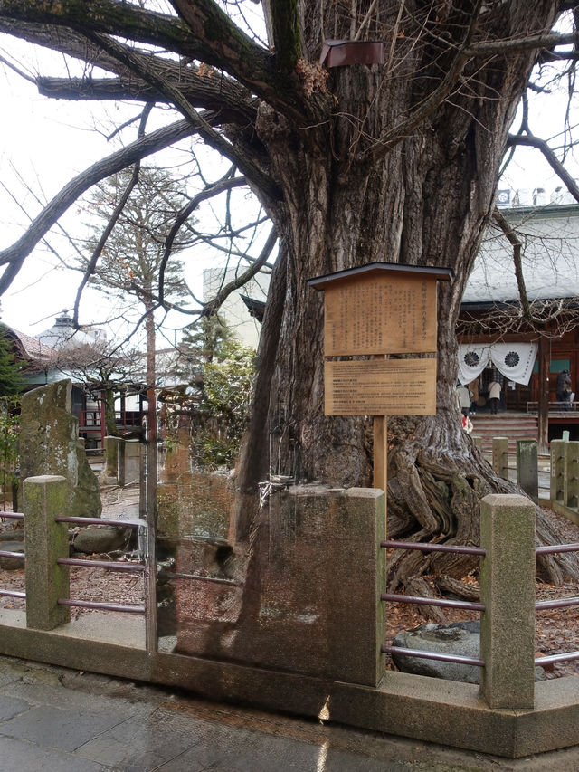 🌿 Review: Hida Kokubun-ji – A Serene Morning at a Historic Temple