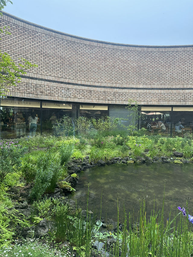 제주 여행 필수 코스! 오설록 티뮤지엄 🍵💚