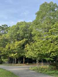 大阪城公園交通攻略｜探索名城必備指南