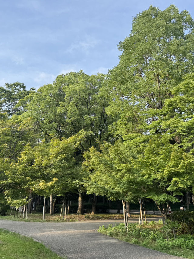 大阪城公園交通攻略｜探索名城必備指南