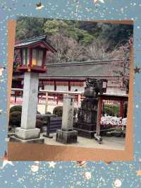 ⛩️천천히 걸으며 마음을 비우는 곳, 다자이후 여행 가이드