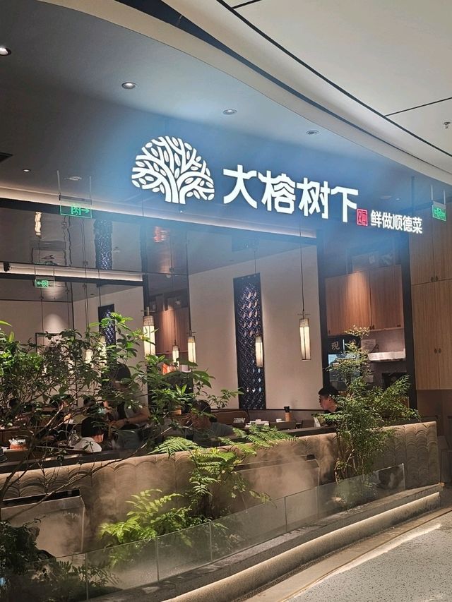 榮獲多個獎項和美食榜首位的順德菜：大榕樹下