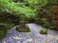 My Visit to Nanzoin Temple and its Hydrangeas in Fukuoka! ☔️🌸