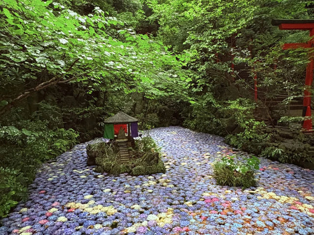 My Visit to Nanzoin Temple and its Hydrangeas in Fukuoka! ☔️🌸