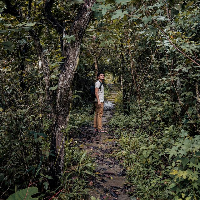 เที่ยวเลย อุทยานแห่งชาติภูเรือ ในฤดูฝน 