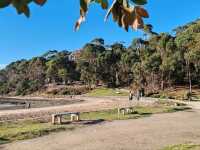 阿波罗湾到坎伯兰河（ Apollo Bay→ Cumberland River）—大洋路的隐秘海岸线