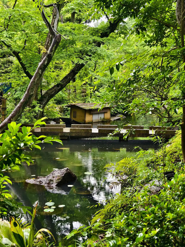 Nezu Museum: Tokyo’s Hidden Garden of Art