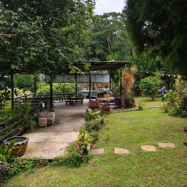 🌿 ปางไฮคอฟฟี่ช็อป (PangHai Coffee Shop) 🌿