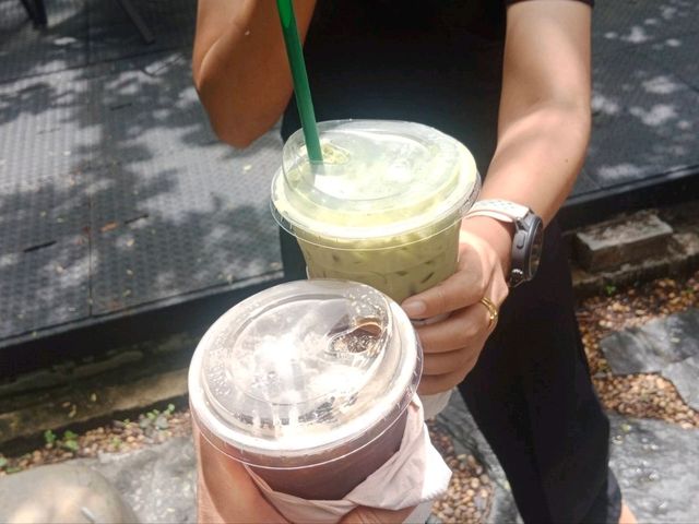 อเมซอนคาเฟ่ที่สวยเหมือนป่าจริง