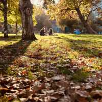 Banya Bashi at Golden Hour: Sofia’s Ottoman Jewel in Summer Light