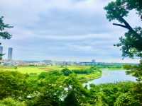 【田園調布から多摩川へ行き紫陽花、多摩川台古墳群、亀甲山古墳、多摩川浅間神社】