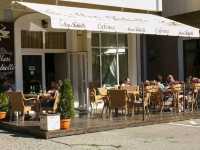 Teatrul Tineretului
