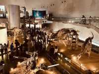 🦖 Roarsome Solo Adventure: Fukui Prefectural Dinosaur Museum