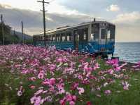 愛媛🇯🇵 最美的海景無人車站🚉下灘站