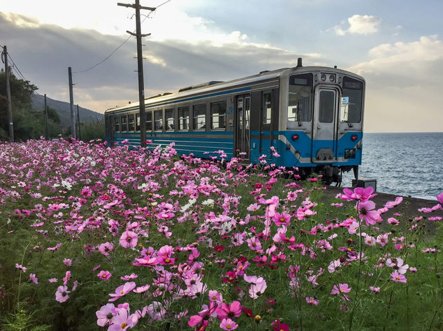 愛媛🇯🇵 最美的海景無人車站🚉下灘站