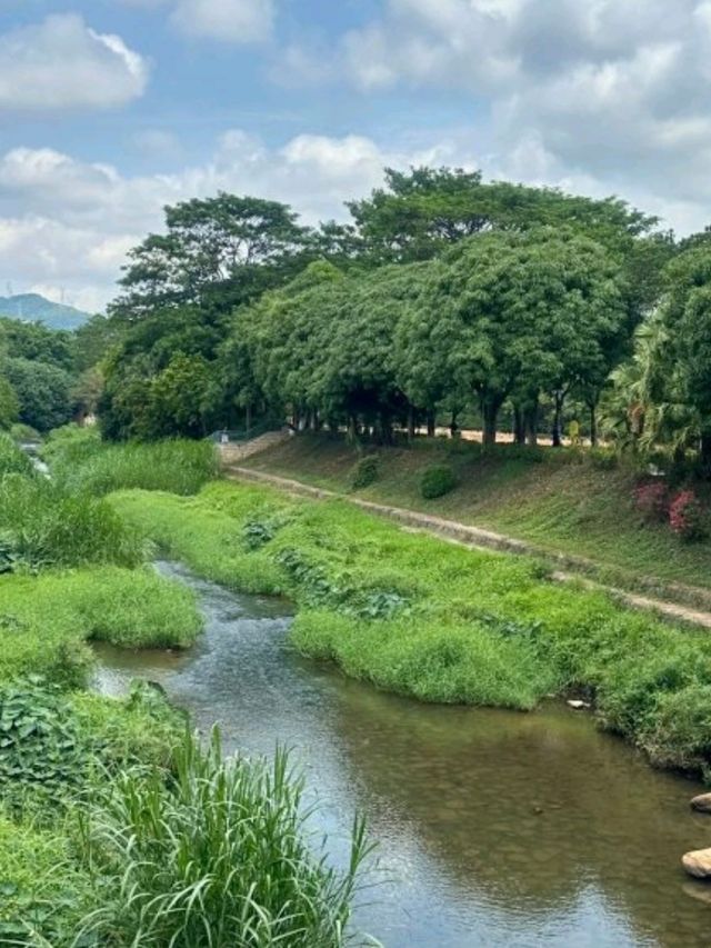 深圳中心公園｜藏在公園裏的宮崎駿☁️