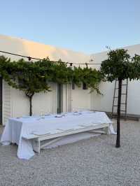 🇮🇹 Italian farm stay • Masseria Moroseta 🌵🌵🌵
