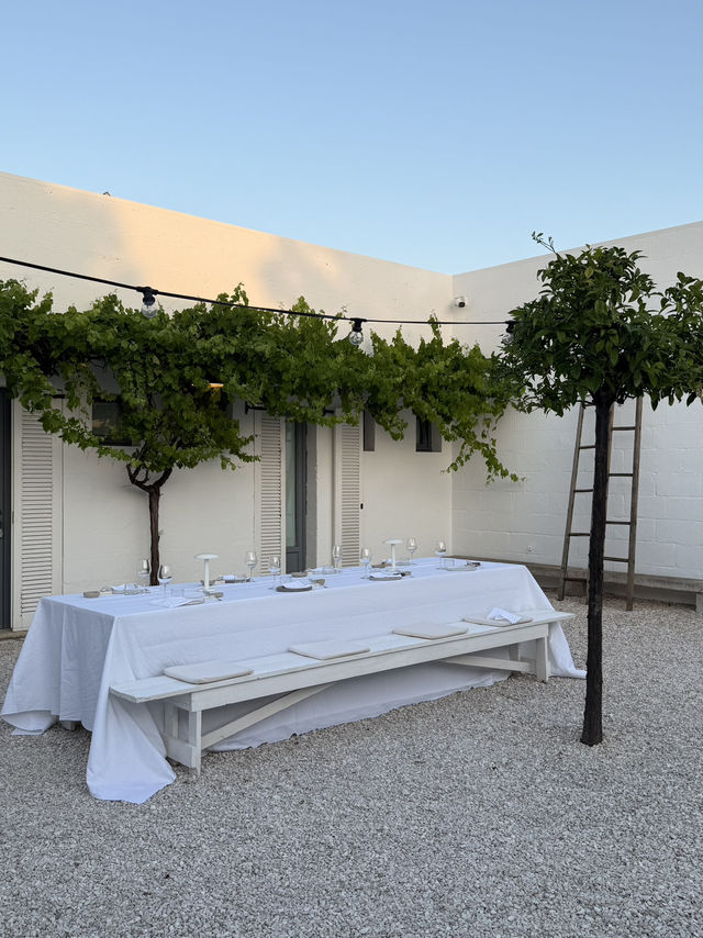 🇮🇹 Italian farm stay • Masseria Moroseta 🌵🌵🌵