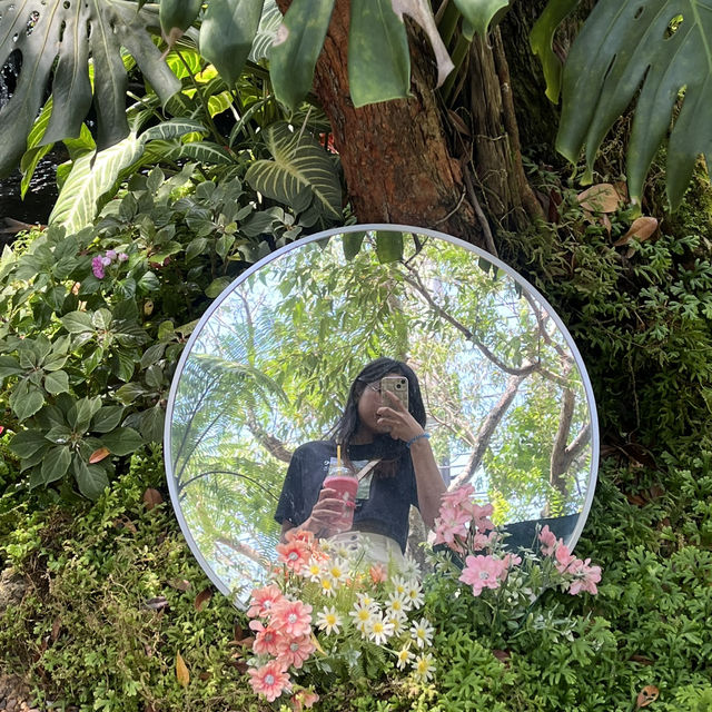 📍TREE TIME Cafe &Garden @Chumphon