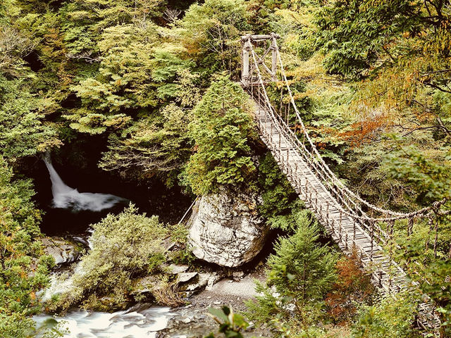 🌿 Solo Adventure: Iya Valley – Japan’s Hidden Mountain Paradise